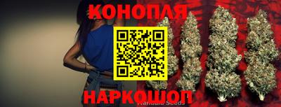 гашик Краснодар