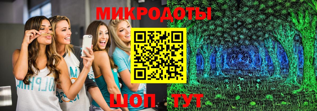 Галлюциногенные грибы Psilocybe Котовск