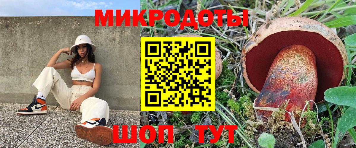 Котовск  Псилоцибиновые грибы Cubensis  Вход с VPN 